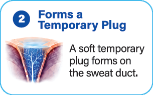 Step 2: A soft temporary plug forms on the sweat duct
